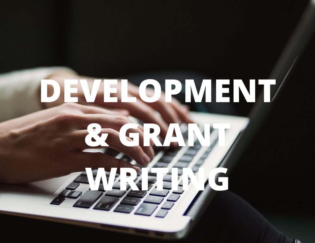 Promotional image for the development and grant writing internship